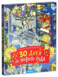 30 дней до нового года. Варвара Разакова