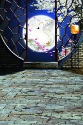 5feet*6.5feet background Moonlight views backdropsvinyl photography backdrop