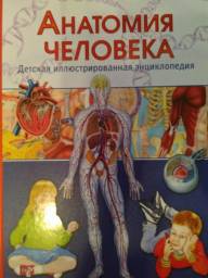 Анатомия человека. Винченцо Гуиди