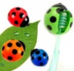 Держатели зубных щеток Aliexpress Wholesale Free shipping~5pcs/Lot Toothbrush Holder,Ladybug Toothbrush Holder