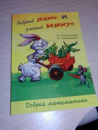 Добрый плюс и умный минус. Александра Лопатина