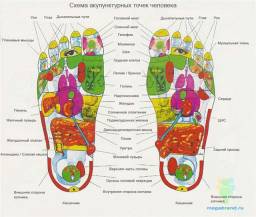 Электроакупунктурная диагностика по методу доктора Фолля