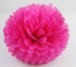 Free Shipping 10pcs 25cm(10inch) Tissue Paper Pom Poms Wedding Party Decor Craft Paper Flower For Wedding Decoration