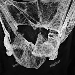 Искусственная паутина TinyDeal Simulative Stretchable Spider Webs Hallowmas Prop Pracitcal Joke Gadget with Two Spiders for Party Ball - White FHP-238230