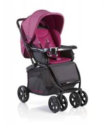 Коляска с прогулочным блоком Geoby c550