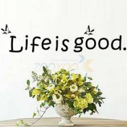 Life Is Good creativewall decal ZooYoo8174 decorative adesivo de parede removable vinyl wall sticker