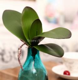 Листья орхидеи фаленопсис искуственные Aliexpress 1pcs real touch phalaenopsis leaf artificial plant decorative flowers auxiliary material for flower decoration