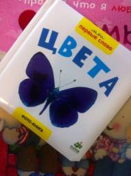 Мои первые слова. Цвета. Клевер Медиа Групп