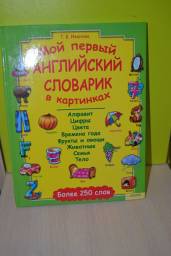Мой первый английский словарик в картинках. Т В Иванова