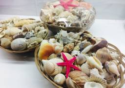 Набор ракушек в плетеной корзине Sea Shells Assorti