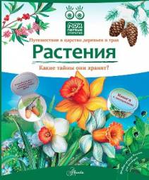 Растения. Какие тайны они хранят? Путешествие в царство деревьев и трав. Книга с окошками. Живая природа России для малышей. Елумеева Т.