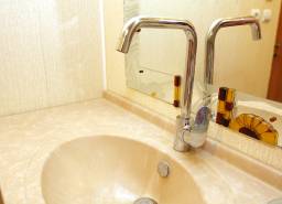 Смеситель (кран) для мойки Hansgrohe Focus 31820000