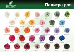 Стабилизированные цветы