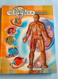 Тело человека