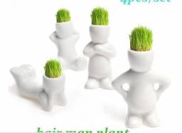 Трава в горшочках Aliexpress 4pcs/set Home Decoration Mini DIY White Man Magic Grass Planting Creative Lovely Gifts Plant Hair Man Office