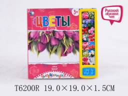 Цветы. Букволандия Tongde T
