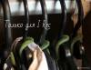 Фото 10 - Крючки Аliexpress Travel Flocking Multifunction Pile Coating Colors Magic Hook Hanging Mini Фото 10