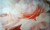 Фото 1 - 3D обои с Aliexpress. 2014 new hot selling factory direct Non-woven 3d wallpaper Simple flower fantasy murals wholesale FREE SHIPPING260 Фото 1