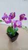Фото 7 - Декоративный цветок AliExpress Decorative flowers pots planters artificial bonsai orchid mk fashion watch plants fake orchids with vase Фото 7