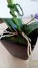 Фото 6 - Декоративный цветок AliExpress Decorative flowers pots planters artificial bonsai orchid mk fashion watch plants fake orchids with vase Фото 6