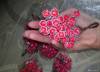 Фото 8 - Декоративные ягоды Aliexpress Foam Manual Material Diy Fruit Decoration Flower 20pcs /lot 027023002 Фото 8