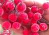 Фото 6 - Декоративные ягоды Aliexpress Foam Manual Material Diy Fruit Decoration Flower 20pcs /lot 027023002 Фото 6