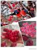 Фото 9 - Декоративные ягоды Aliexpress Foam Manual Material Diy Fruit Decoration Flower 20pcs /lot 027023002 Фото 9