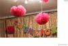 Фото 3 - Free Shipping 10pcs 25cm(10inch) Tissue Paper Pom Poms Wedding Party Decor Craft Paper Flower For Wedding Decoration Фото 3