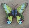 Фото 3 - Наклейки на стены Creative Vivid Butterfly Style Popular Decal Wall Stickers Home Decor Room Decorations 3D Free Shipping K5BO Фото 3