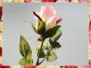 Фото 6