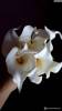 Фото 8 - Цветы Каллы Aliexpress New Calla Lily Bridal Wedding Bouquet head Latex Real Touch Artificial Flower Decor#50984 Фото 8