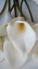 Фото 4 - Цветы Каллы Aliexpress New Calla Lily Bridal Wedding Bouquet head Latex Real Touch Artificial Flower Decor#50984 Фото 4