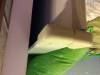 Фото 6 - Защитный уголок на мебель 8pcs/ lot Soft Baby Safe Corner Protector Baby Kids Table Desk Corner Guard Children Safety Edge Guards Wholesale Free Shipping Фото 6