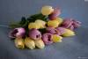 Фото 10 - Тюльпаны Aliexpress Free shipping 31PCS/LOT pu mini tulip flower real touch wedding artificial silk home decoration Фото 10