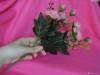 Фото 7 - Искусственные цветы AliExpress New Hot Vivid 6 Branches Autumn Artificial Fake Peony Flower Posy Home Hotel Room Bridal Wedding Decor Фото 7