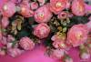 Фото 8 - Искусственные цветы AliExpress New Hot Vivid 6 Branches Autumn Artificial Fake Peony Flower Posy Home Hotel Room Bridal Wedding Decor Фото 8