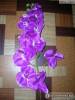 Фото 1 - Искусственная орхидея Aliexpress 1 Stem Silk Flower Artificial Moth Orchid Butterfly for new House Home Wedding Festival Decoration 4 types 12 Colors F152 Фото 1