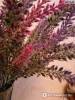 Фото 4 - Лаванда Aliexpress Provence lavender flower silk tomentum artificial flowers grain decorative fake flores bouquet Фото 4