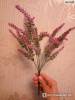 Фото 2 - Лаванда Aliexpress Provence lavender flower silk tomentum artificial flowers grain decorative fake flores bouquet Фото 2