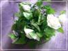 Фото 1 - Гирлянда из роз с Aliexpress "2.5M Artificial Silk ROSE Fake FLOWER Ivy Leaf Garland Plants Home Wedding Decor" Фото 1