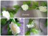 Фото 4 - Гирлянда из роз с Aliexpress "2.5M Artificial Silk ROSE Fake FLOWER Ivy Leaf Garland Plants Home Wedding Decor" Фото 4