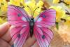 Фото 4 - Aliexpress Бабочки High Quality 12pcsWall Decor 3D Butterfly butterflies Stickers Fridge Magnet Room decoracion pared Decal Applique Фото 4
