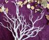Фото 2 - Ветки для декора Aliexpress Witch deer horn shape dried plants beautiful Artificial small Plastic Dried Branch Plant white tree Home Wedding Decoration P40 Фото 2
