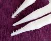 Фото 3 - Ветки для декора Aliexpress Witch deer horn shape dried plants beautiful Artificial small Plastic Dried Branch Plant white tree Home Wedding Decoration P40 Фото 3