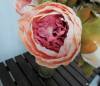 Фото 6
