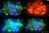 Фото 8 - Гирлянда Tinydeal 100pc LED String Fairy Lights 9m with 8 Lighting Modes for Wedding X'Mas Party Decoration HLB-17584 Фото 8