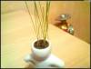 Фото 4 - Трава в горшочках Aliexpress 4pcs/set Home Decoration Mini DIY White Man Magic Grass Planting Creative Lovely Gifts Plant Hair Man Office Фото 4