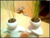 Фото 3 - Трава в горшочках Aliexpress 4pcs/set Home Decoration Mini DIY White Man Magic Grass Planting Creative Lovely Gifts Plant Hair Man Office Фото 3