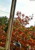 Фото 6
