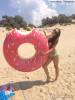 Фото 1 - Надувной круг Ebay 4' Foot Inflatable Donut Pool Float Swimming Tube ~ Big Mouth Toys + 1 Million Фото 1